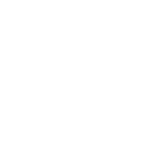vision